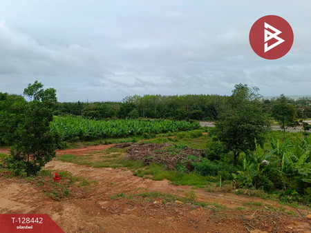 ��·��Թ ���ͧ��Ҵ��Ҵ