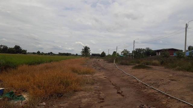 ���Թ�ù��� �������