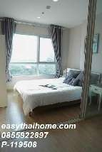 ��� �͹� 31 ���ҧ����