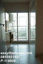 �͹� ����ͧ 31 ���ҧ����