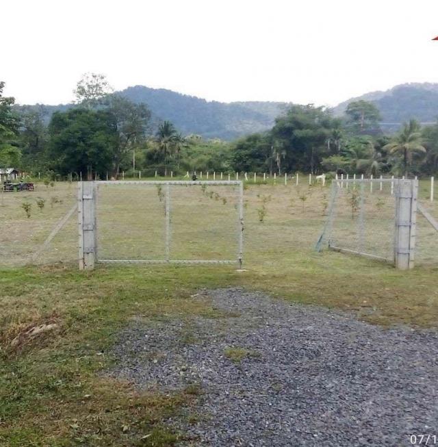 ������� �� Anutta thongdet