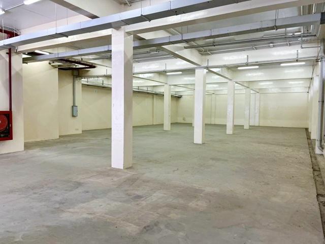 ⡴ѧ������ �ҧ��Ƿͧ�������