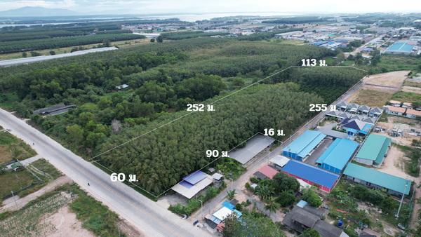 ���Թ ˹�ҵԴ���