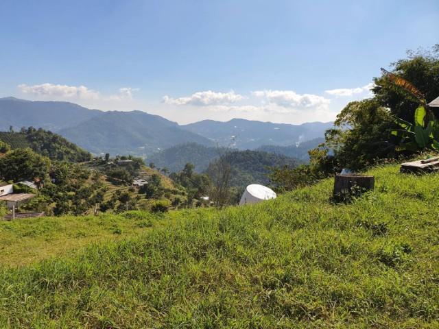 ���Թ 5 ���