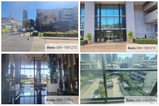 �͹� ������§