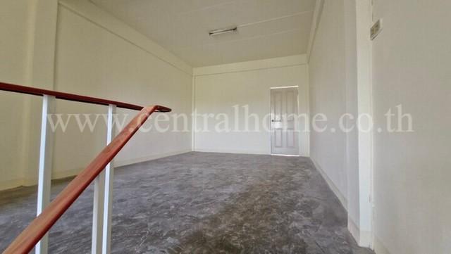 ����Ҥ�þҳԪ�� �ҡ��紹������