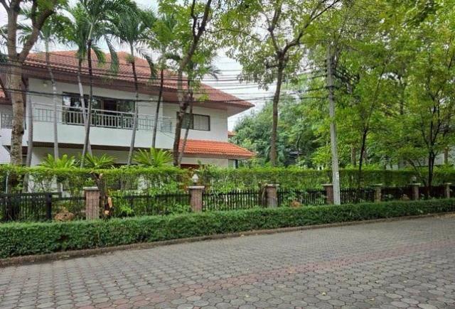 ��º�ҹ �ҡ��� �������