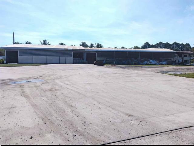 ��¸�áԨ ���ʹԤ� �ź���