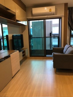 ¤Í¹â´ Paragon ¤Í¹â´ Paragon