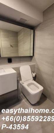 �͹������� �ҧ�ѡ