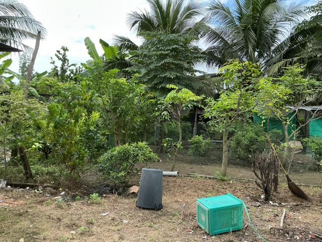 ��·��Թ ���� ྪú���