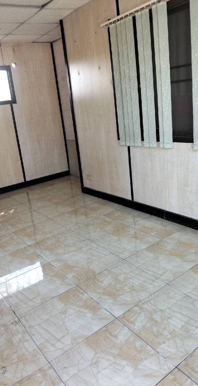 �Ҥ�þҳԪ�������� �����ҹ��û��