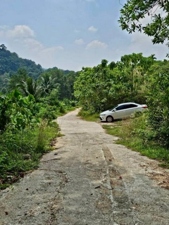 ���Թ ���� ������¹����ǹ���