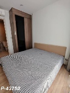 ������ �͹�