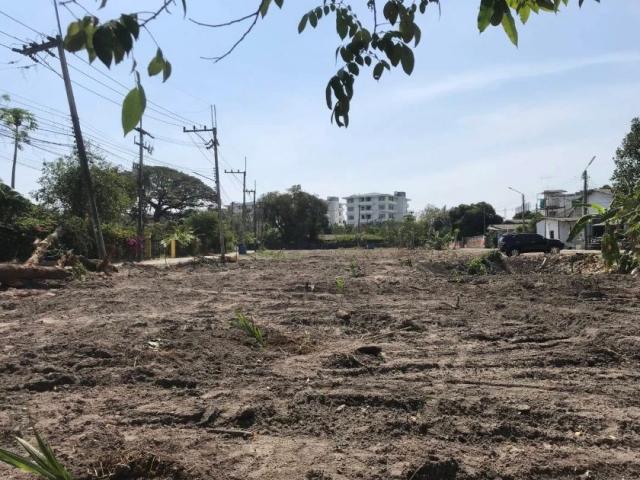 ที่ดิน ทิศใต้ ที่ดิน ทิศใต้