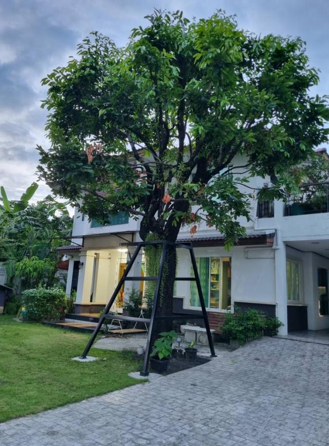 ��ҹ 200 ���ҧ��