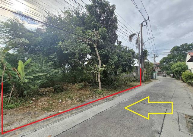 ��·��ԹBTS���