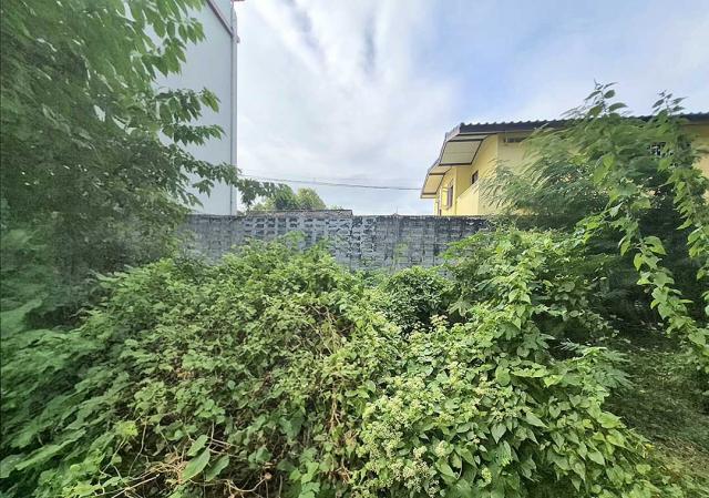 ��·��Թ �ҧࢹ