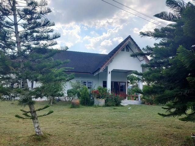 ��·��Թ 20,000,000 �ҷ