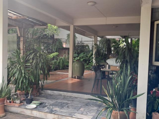 ��º�ҹ����� �ѧ�ͧ��ҧ��ا෾