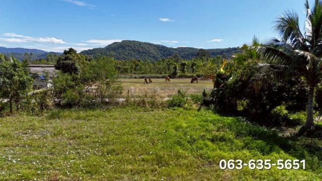 ��º�ҹ ��ҹ�ҹ�ù�¡