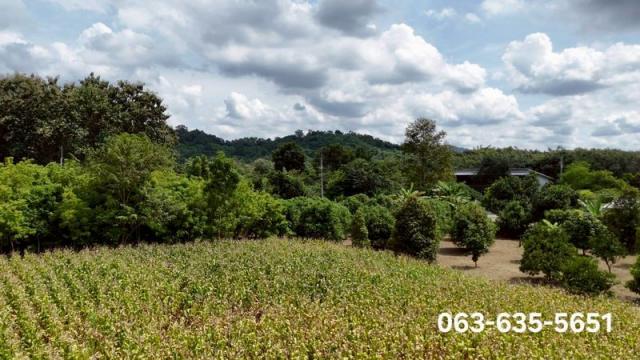 ��·��Թ ������к���