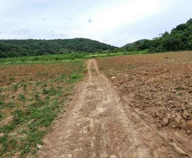 �ҡ��ͧ �� Anutta thongdet