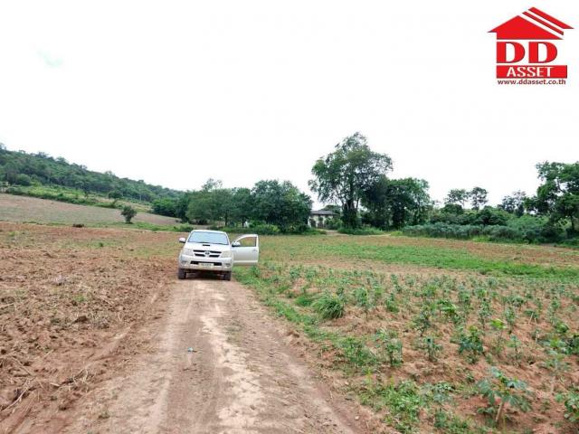 ��·��Թ �ѡ����� ����Ҫ����