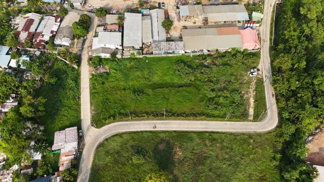 ���Թ������ ��ҧ����