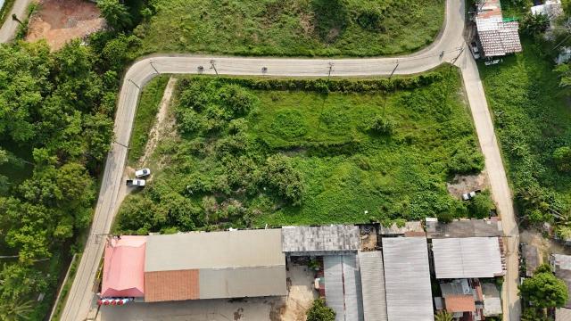 ���Թ������ ��ҧ ����