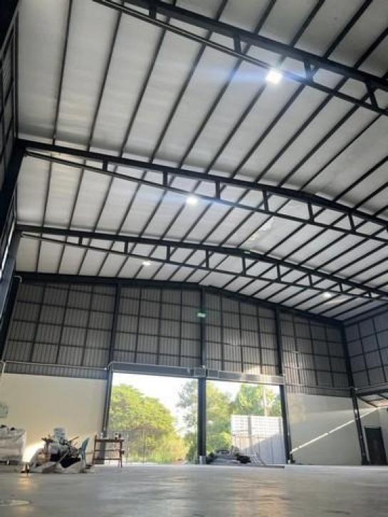 ⡴ѧ������ ������