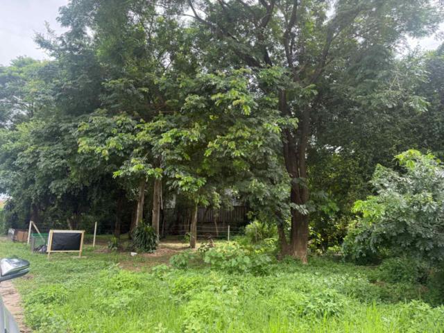 ��·��Թ ���ͧ��§������§����