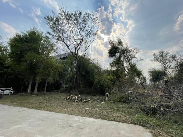 ��·��Թ ���ͧ��§������§����