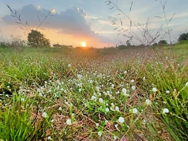 ที่ดินหนองจอก ที่ดินหนองจอก