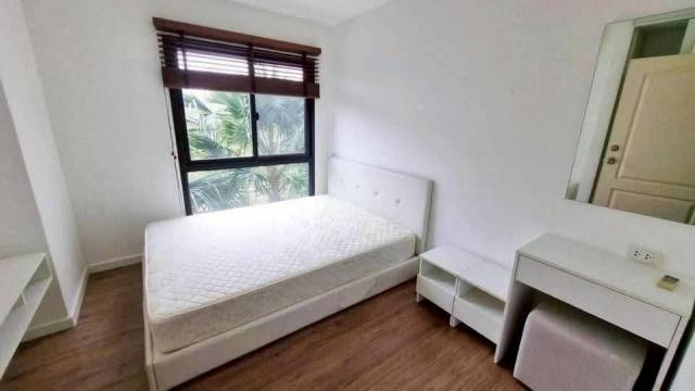 �͹������� ��ѡ���