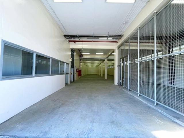 ⡴ѧ������ �ҧ��Ƿͧ�������