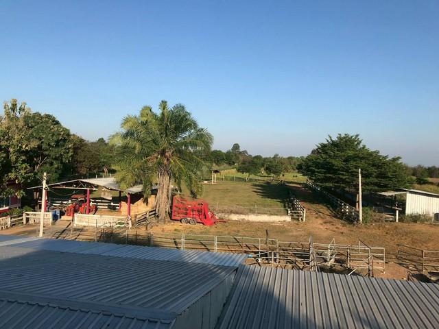 ��·��Թ �դ��� ����Ҫ����