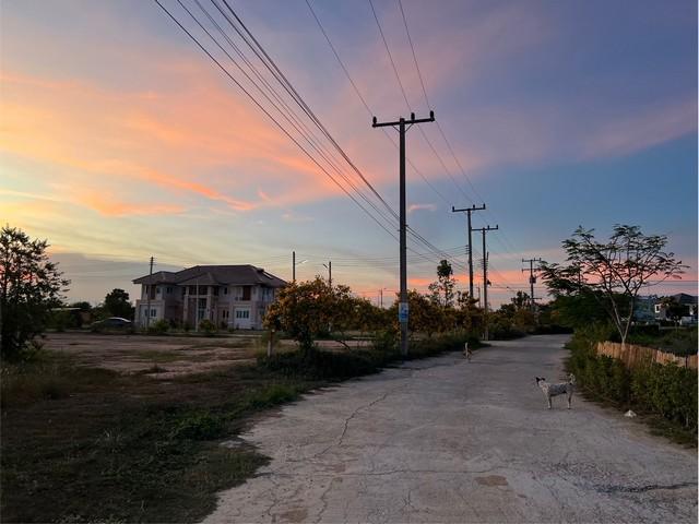 ��·��Թ ��ҳ���ջ�ШǺ���բѹ��