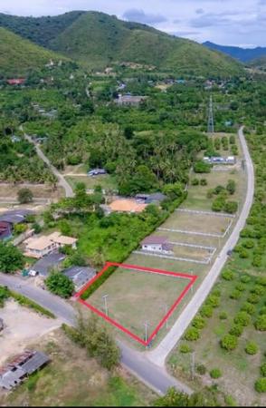 ���Թ �������