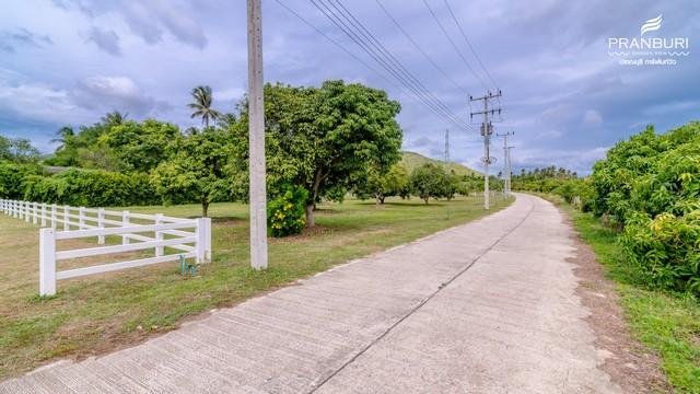 ��·��Թ ��ҳ���ջ�ШǺ���բѹ��