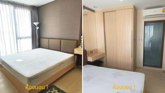 ��¤͹� ���ͧ������չ������