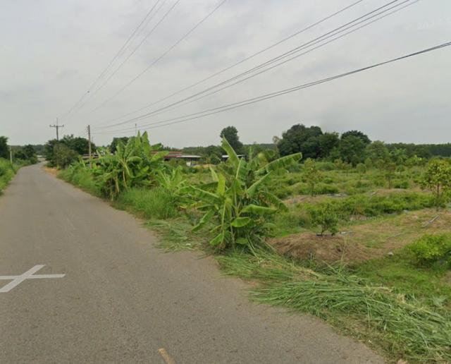 ที่ดิน ติดถนนคอนกรีต 600 ตารางวา ที่ดิน ติดถนนคอนกรีต 600 ตารางวา