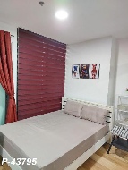 �����Ҥ͹������� �Ҥһ�С�������� 11,000 �ҷ/��͹