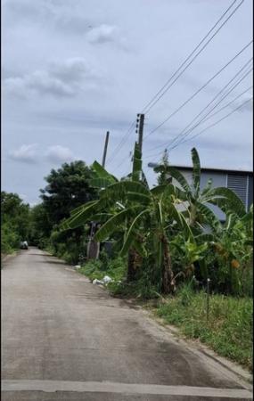 ���Թbts �ҡ���