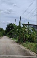 ��·��Թ �Ҥһ�С�Ȣ�� 2,500,000 �ҷ