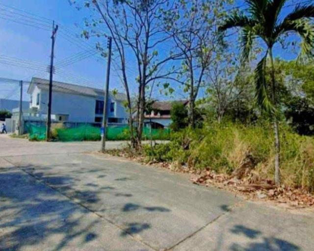 ขายที่ดิน 2,600,000 บาท ขายที่ดิน 2,600,000 บาท