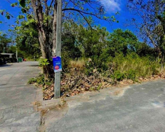 ��·��Թ �ҧ���ا�ź���