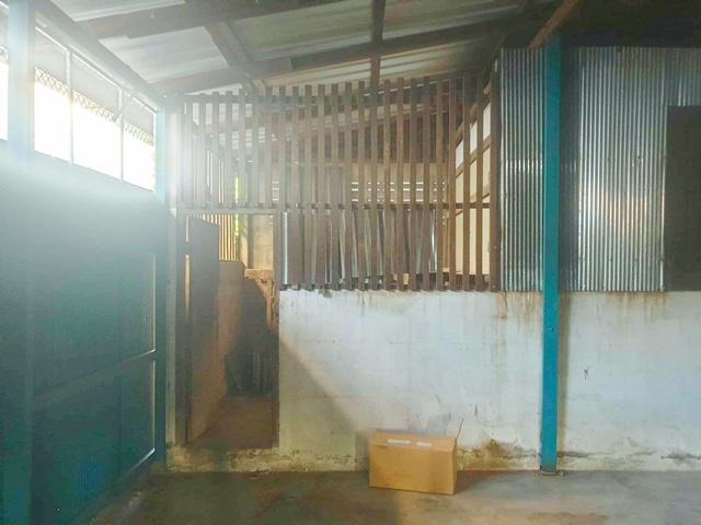 ⡴ѧ������ ���ͧ�ҹ�ӻҧ