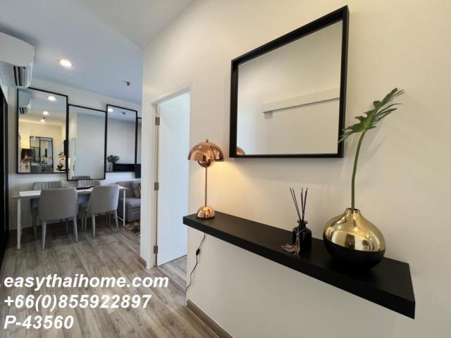 �͹������� ������