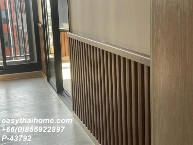 �͹�������ͧ �ҧ��